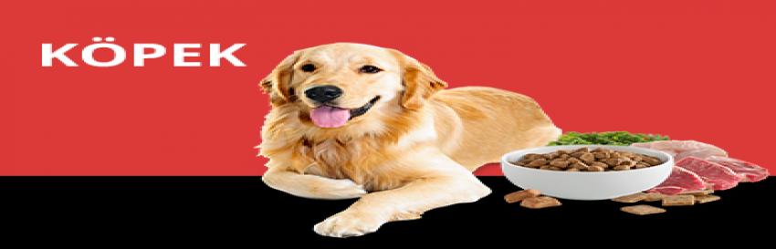 Köpek Konserve Mamaları
