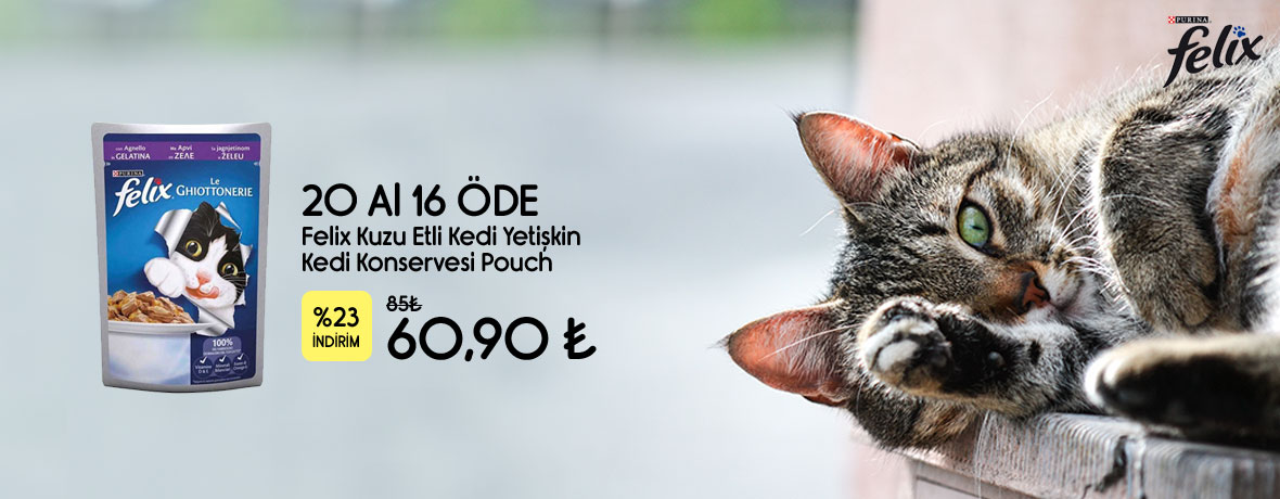 SON REKLAM 3