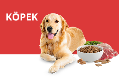 SLİDER ALTI REKLAM 2