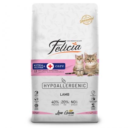 felicia-kitten-kuzu-etli-yavru-kedi-mamasi-12-kg
