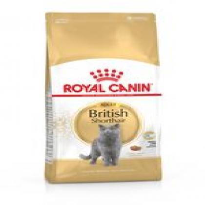 royal canın british shorthair yetişkin kedi maması 2 kg